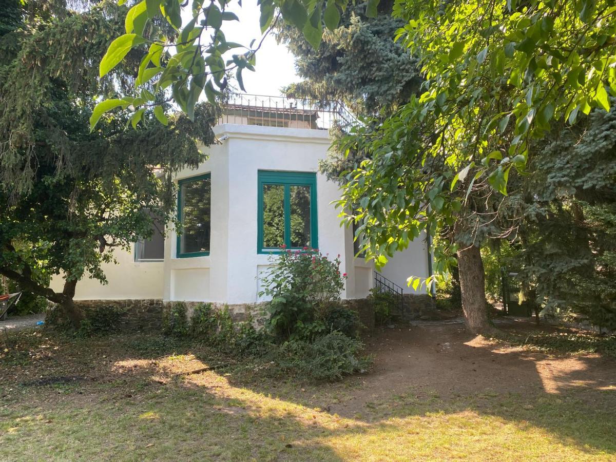 Villa Delibab バダチョニトマイ エクステリア 写真